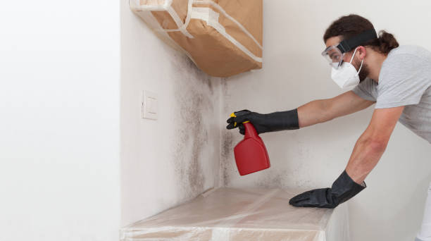 Professional Mold Removal technician working in Rhodelia, KY